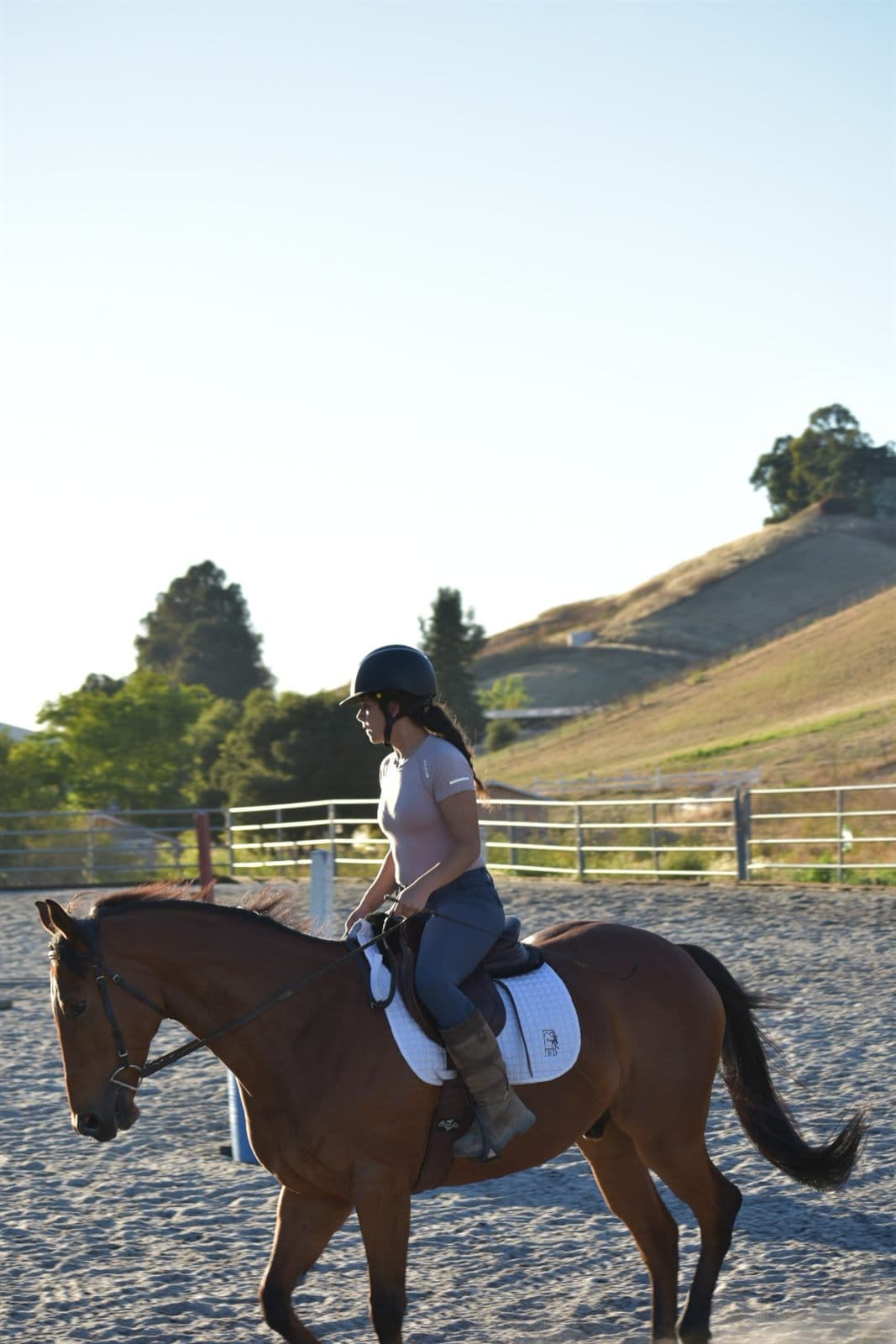 Rena riding her horse at golden hour, the California hills behind