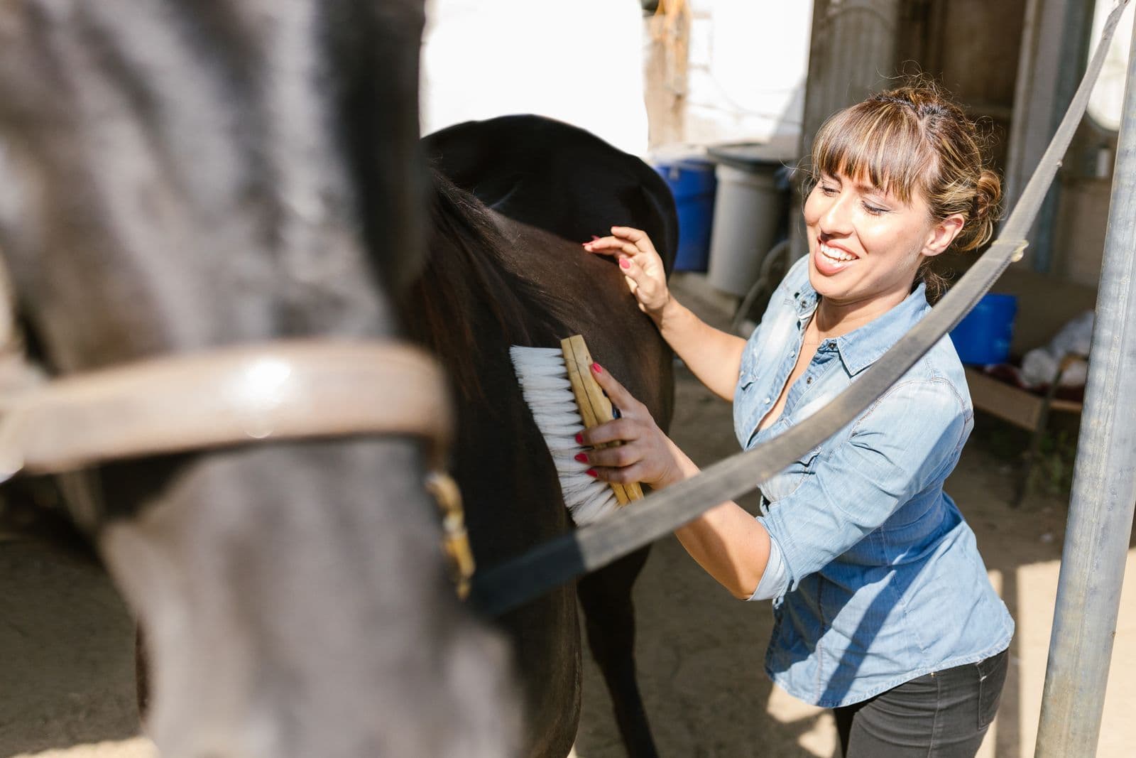 Grooming a horse in the sun outside the barn