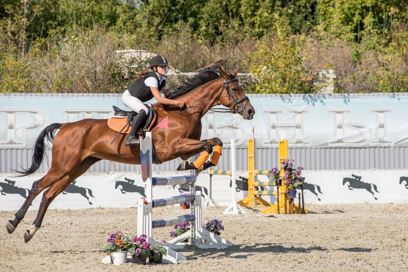 A young rider taking a horse over a jump at a show