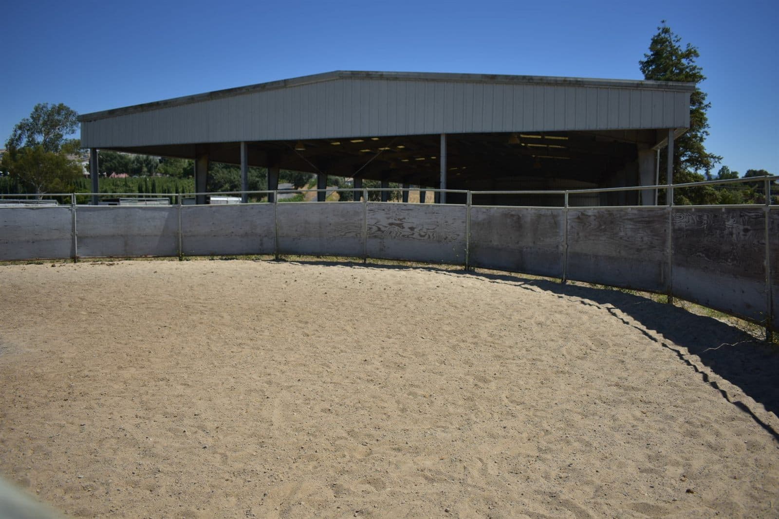 The round pen for groundwork and starting young horses